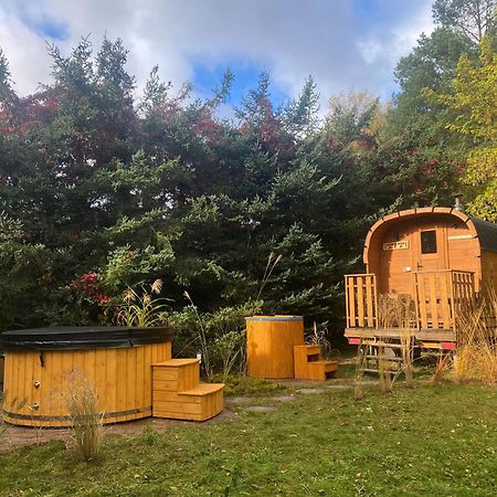 Szeroki Bor Oaza W Puszczy Z Sauna, Bania I Jacuzzi מראה חיצוני תמונה